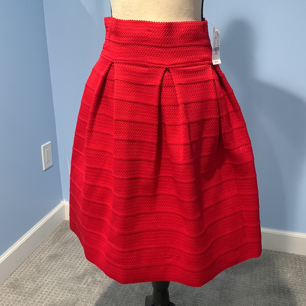 New York And Company Skirt Brand New Size Small